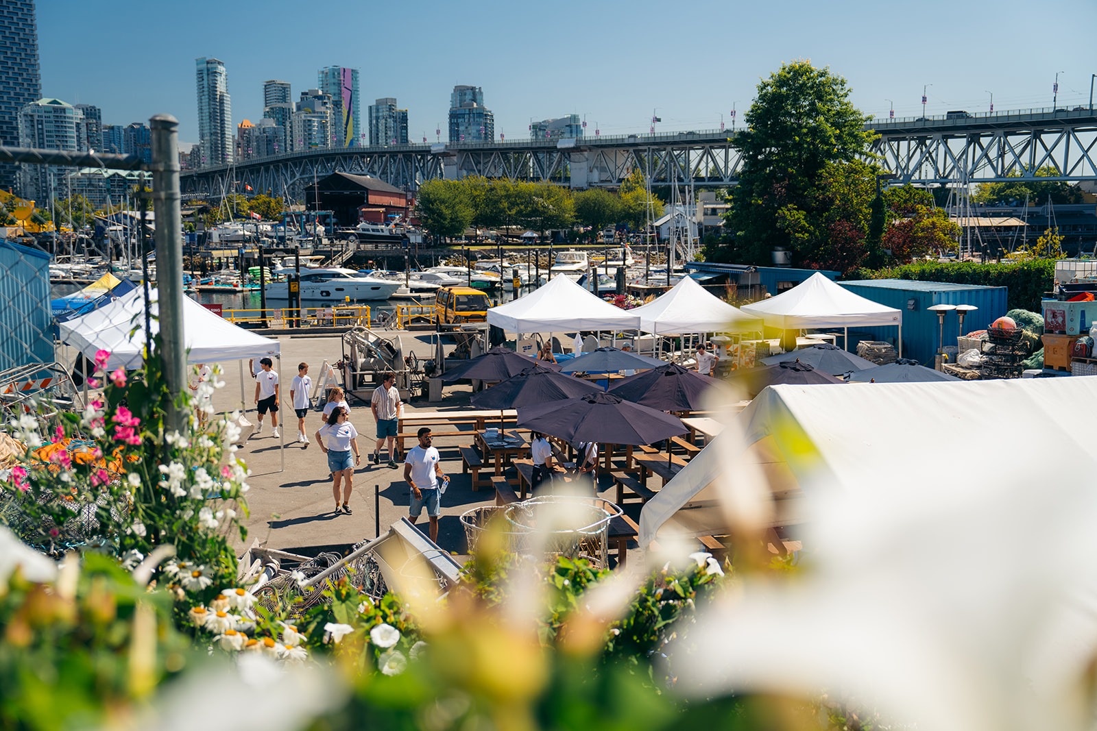 Photo Assets – CrabFest
