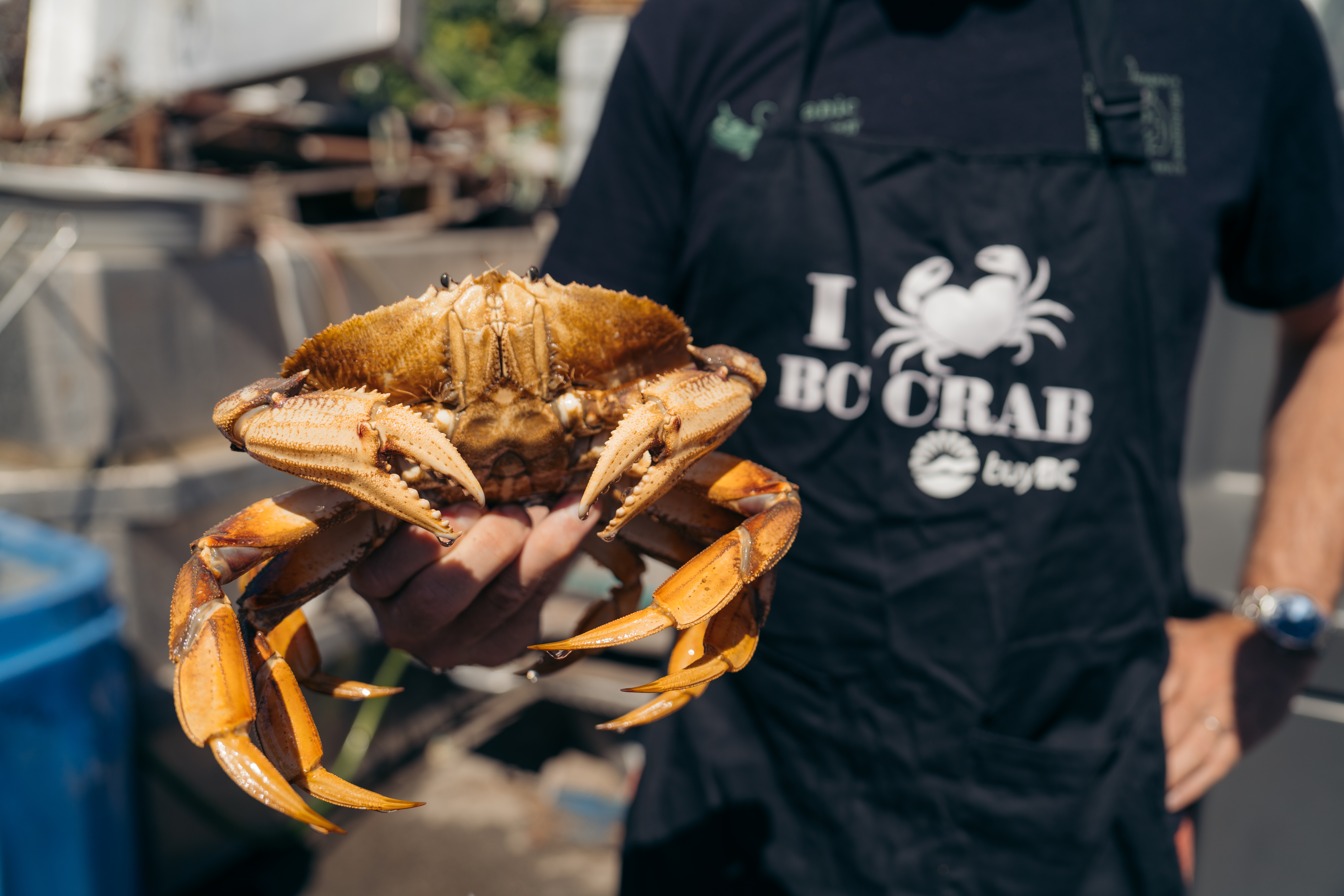 DSC04800-2023-July17-CrabFest