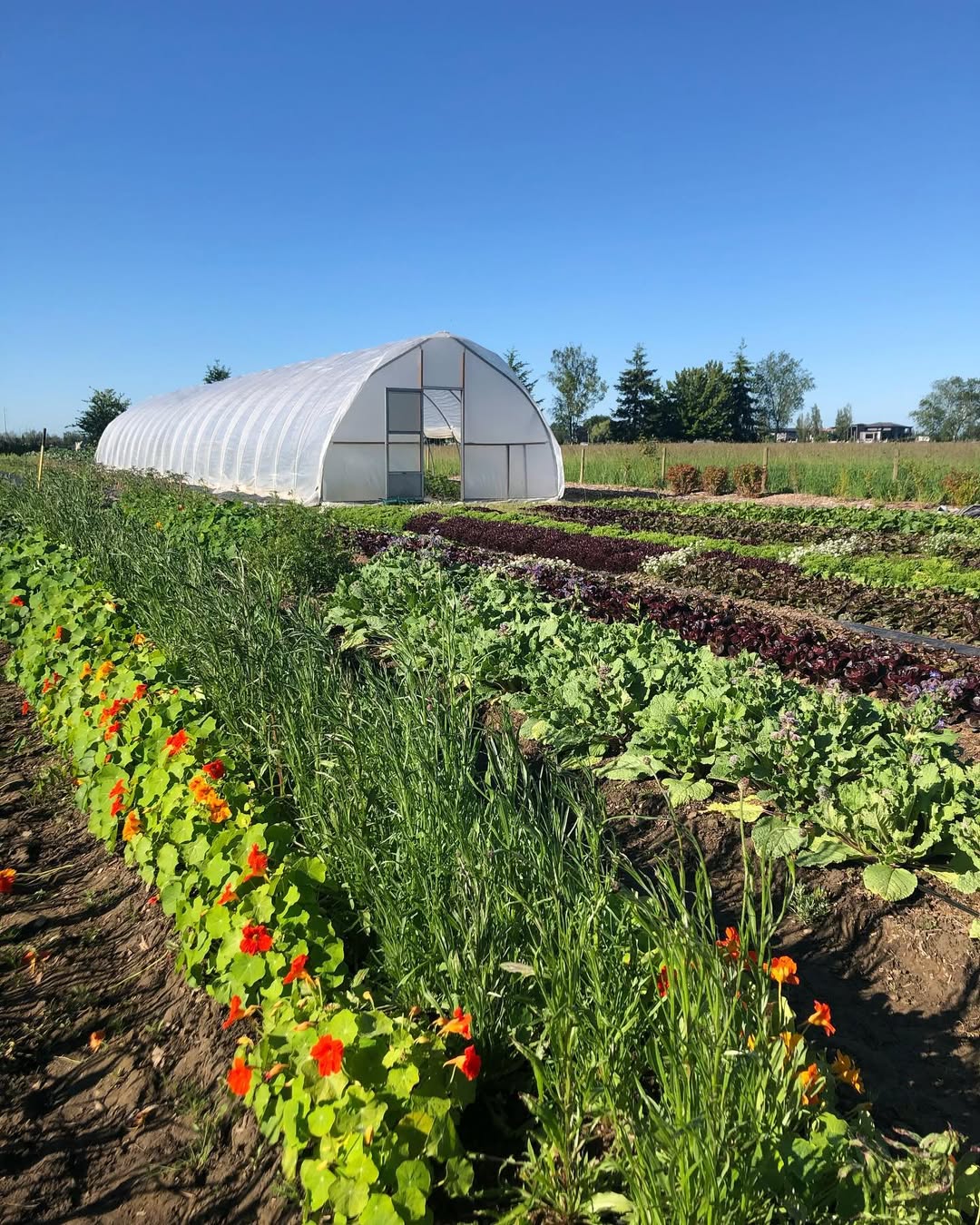 Farm