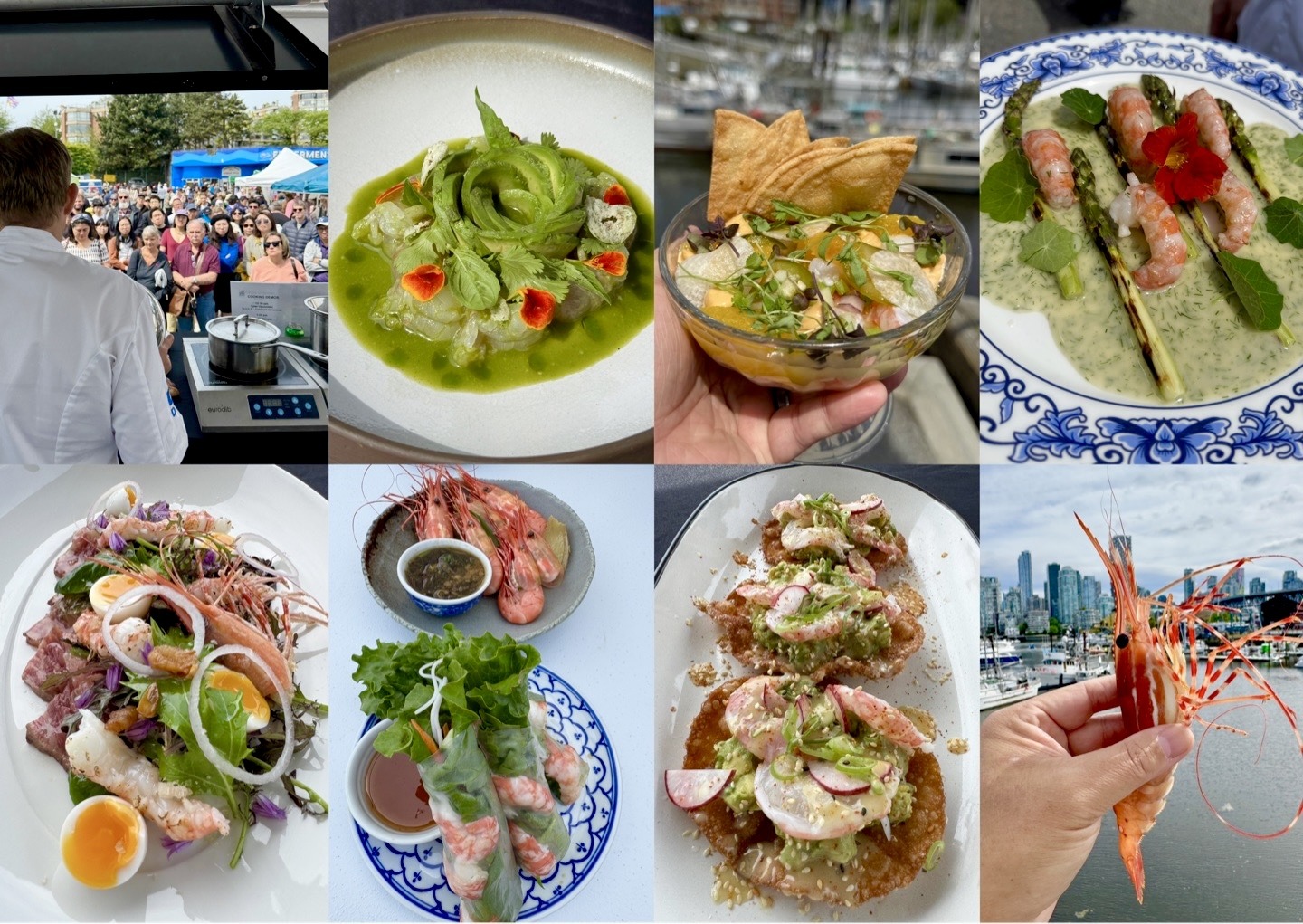 demo dishes 2025